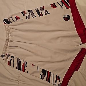 Air Jordan shorts